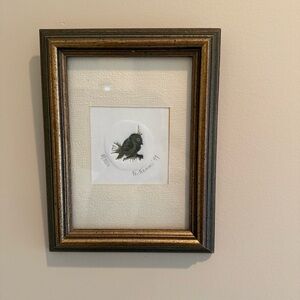 Nancy Nemec Signed Limited Edition Owl Print 5/50 Framed 1977